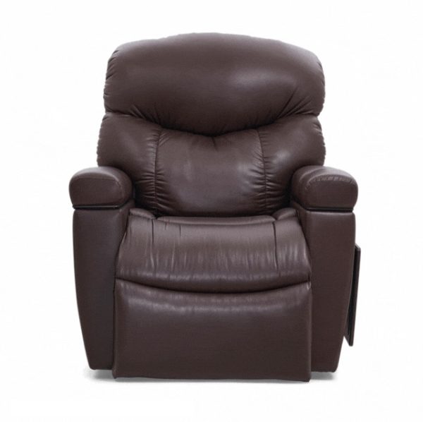 Golden Cloud Plus Lift Chair. Photo of the lift chair.